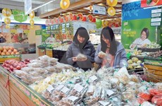 今年8月份越南货物零售额继续稳步增长