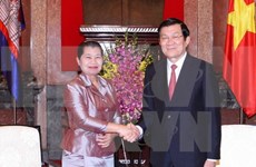 越南国家主席张晋创会见柬埔寨皇家政府副首相梅森安