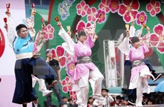 越日文化交流活动在得乐省举行