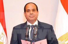 埃及致力加强同东盟各领域合作
