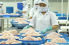 美国拟将提高越南查鱼的反倾销关税