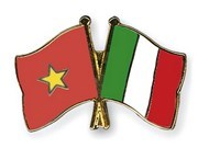 越南胡志明市与意大利都灵市加强合作