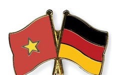 越德外交部副部长级战略协调小组第三次会议在德国举行