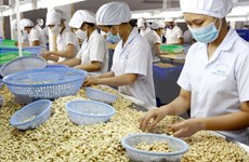 越南农产品生产及加工贸易投资与合作研讨会首次在日本和歌山县举行