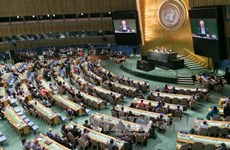 张晋创主席出席联合国发展峰会致力于展开越南和平合作与可持续发展的外交政策