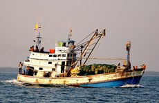 越南海警在金瓯海域扣押非法捕鱼的三艘泰国渔船