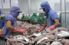 墨西哥成为越南富有潜力的查鱼出口市场