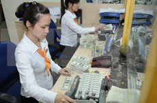 越南国家银行副行长：下调外币存款利率以防美元化现象