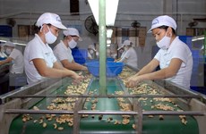 越南与印度促进农业合作