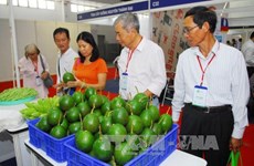 近100家企业参加2015年越南国际农业与农产品展销会