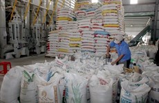2015年全年水稻产量达4500万吨