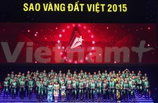 2015年越南金星奖颁奖仪式在河内举行