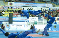 2015年第23届越武道锦标赛在清化省开赛