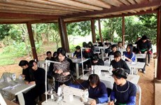 越南推动实施少数民族地区性别平等政策