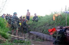 清化省渔民发现一颗400公斤重的炸弹