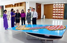 题为“广宁省历史的重要里程碑”专题展在广宁省开幕
