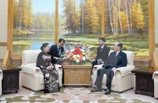 越南共产党代表团对朝鲜进行访问