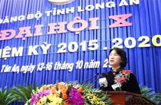 越共隆安省第十次代表大会隆重开幕