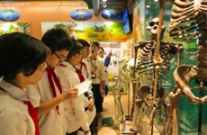 越南自然博物馆的魅力