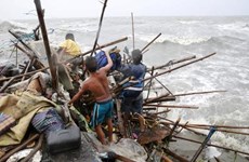 菲律宾多省遭超强台风“巨爵”侵袭致16人死亡