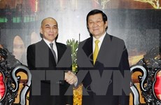 越南国家主席张晋创会见柬埔寨国王诺罗敦·西哈莫尼