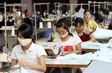 惠誉评级：TPP将促进越南经济长期增长