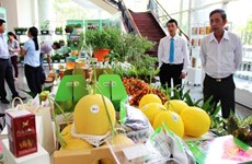 2015年越南农业节吸引250个单位参加