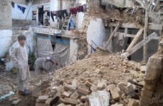 南亚地区大地震：越南高度关注在南亚国家越南公民安危
