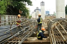 英国十分关注胡志明市城市铁路建设项目