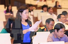 越南第十三届国会第十次会议发表第十三号公报