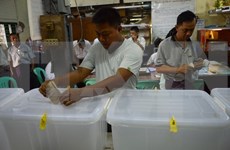 缅甸历史性大选投票今天展开