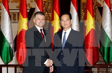 阮晋勇总理：越南重视促进越匈合作关系向纵深发展