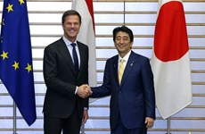 日本与荷兰对东海紧张局势升级表示关切