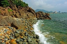 东南亚地区最具吸引力9个体验式旅游目的地排名越南平定省归仁市排名第三