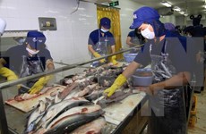 越南对中国查鱼出口量猛增