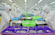 越南虾类产品对美国市场出口前景广阔