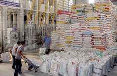 越南和泰国产的5万吨大米将于2016年初抵达印尼港口