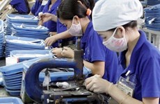 今年10月份越南新成立企业数量大幅上涨