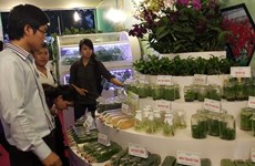 2015越南高科技农业与食品工业展览会吸引近150家企业参加