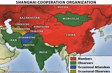 东盟与上海合作组织加强合作关系