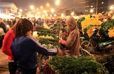 广霸花卉夜市——河内市的独特集市