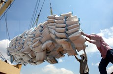 印尼将从越南进口100万吨大米
