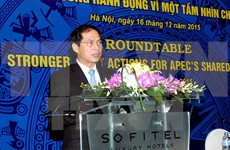 越南为2017年APEC峰会成功举办作出充分准备