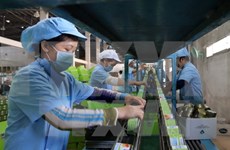 越南恢复正常生产经营活动的企业数量呈回升加速之势