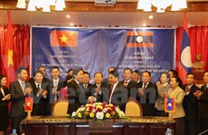 越南与老挝加强人力资源培训合作