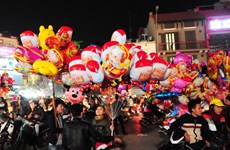 越南全国各地纷纷举行庆祝2015年圣诞节活动