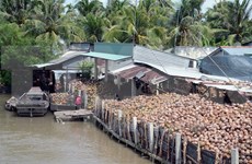 槟知省椰子制品出口额占本省出口总额的30%