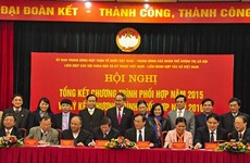 发挥越南祖国阵线中央委员会和各政治社会团体执委会的政治联盟和自愿性联合会作用