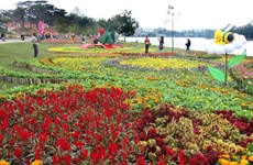 2015年第六次大叻花卉节：大叻市共接待游客50万人次