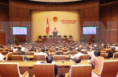 越南新一届国会、各级人民议会代表选举将于5月22日举行